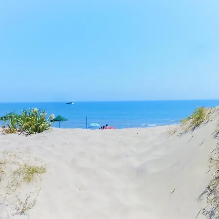 公寓 Romana Playa Vistas Al Mar